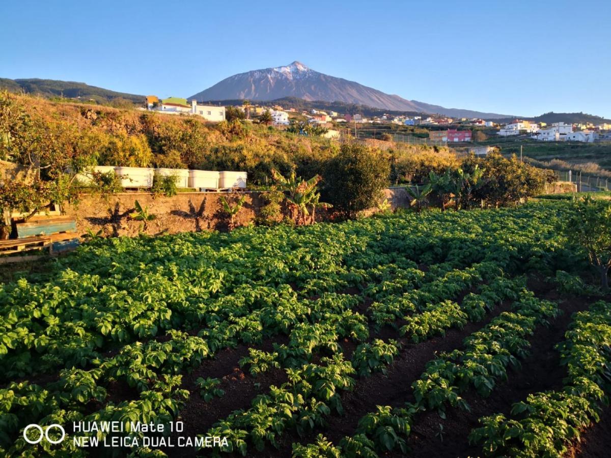 Finca Los Angeles Сан-Хуан-де-ла-Рамбла Экстерьер фото