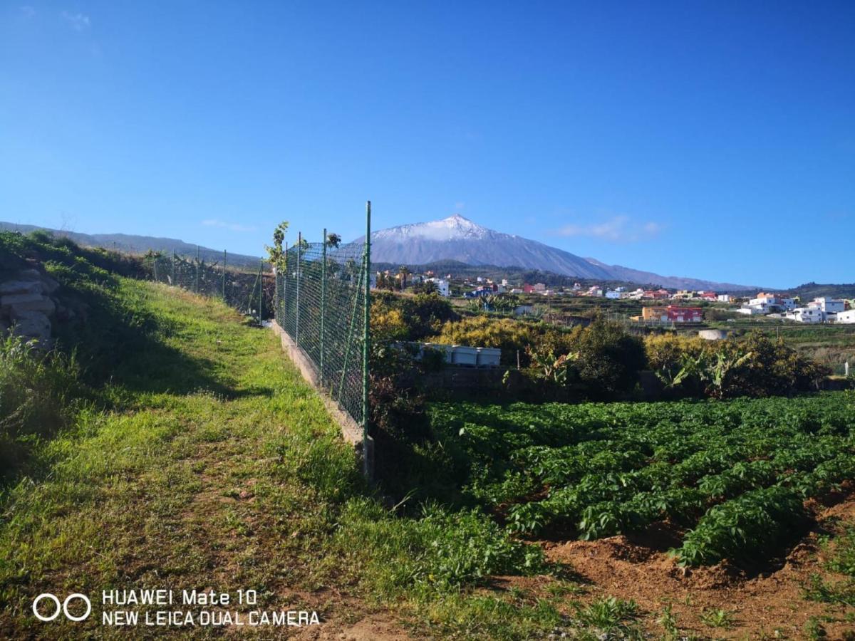 Finca Los Angeles Сан-Хуан-де-ла-Рамбла Экстерьер фото